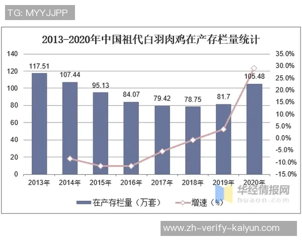 恒大足球的价值探讨与未来发展潜力分析 恒大足球的价值探讨与未来发展潜力分析